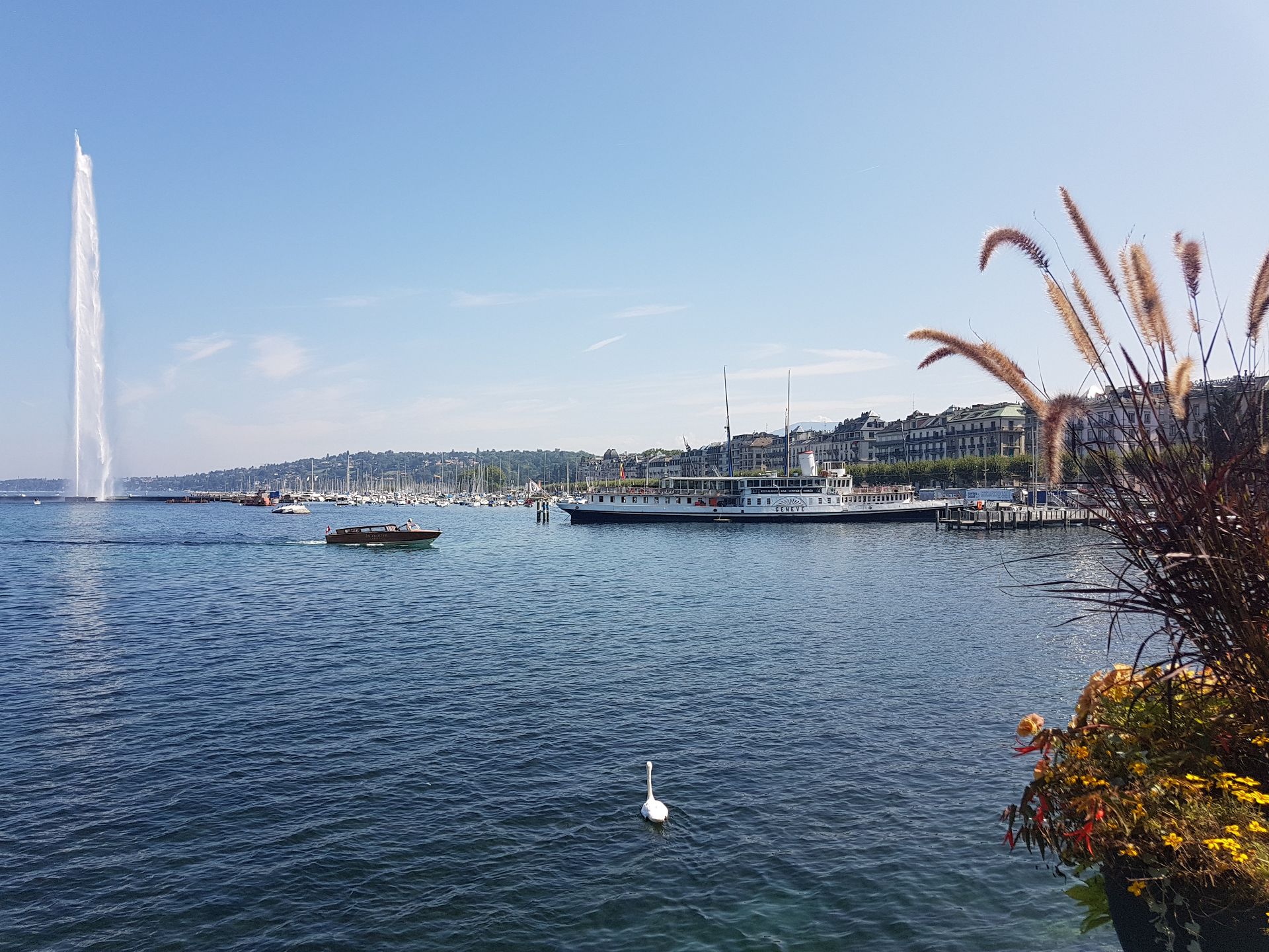 Geneva